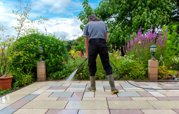 Animal Enclosure Cleaning in Indian Wells, CA